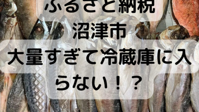 ふるさと納税干物ランキング