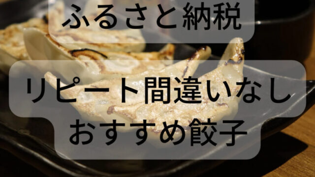 ふるさと納税ブログでおすすめ餃子を紹介