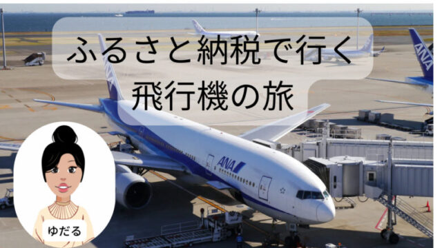 ふるさと納税で飛行機に乗る